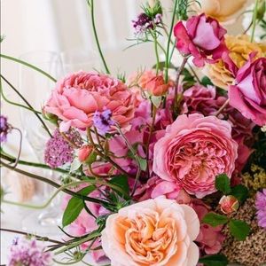 Meet your Posher, Eve